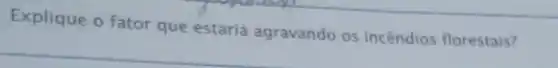 Explique o fator que estaria agravando os incêndios florestais?