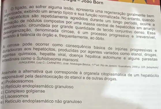 figado, ao sofrer alguma lesão, apresenta uma regeneração geralmente bem
uganizada, exibindo tep diramjo tipico e sua função nermalizada. No entanto, quando
os hepatócitos suddes compostos por uma massa central de hepatocitose.com a
circundada por grande quantidade de tecido em arranjo
desorganization do organism frequentemente, ao ôbito
denominada cirrose denso
processo
pode ocorrer como consequência básica de injurias progressivas e
durados quimicos, negative viral, doença hepática autoimune e alguns parasitas
aos hepatócitos, produzidas por agentes variados como
intestinais como o Schistosoma mansoni.
JUNQUEIRA, Luiz C
José. Histologia Básica. 11 ed. Rio de Janeiro Guanabara, 2008 p. 335. (ladaptado)
Assinale a alternativa que corresponde à organela citoplasmática de um hepatócito
responsável pela desintoxicação do etanol e de outras
a) Proteos somos
b) Reticulo endoplasmático granuloso
C)Complexo golgiense
d) Lisossomos
e) Reticulo endoplasmático não granuloso