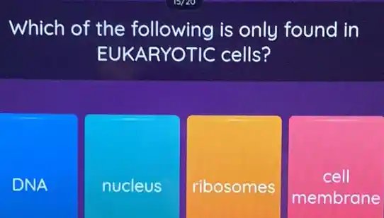 Which of the following is only found in
EUKARY OTIC cells?
DNA
nucleus
ribosomes
square 
cell