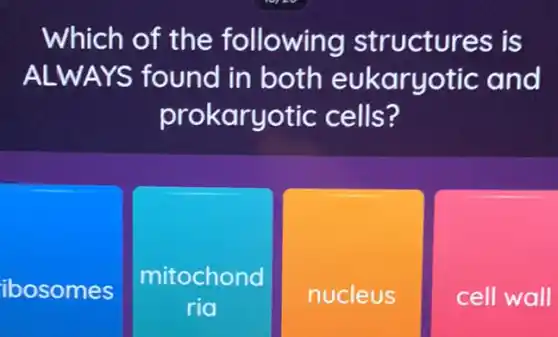 Which of the following structures is
ALWAY S found in both eukaryo tic and
prokaryotic cells?
ibosomes
mitochond
ria
nucleus
cell wall