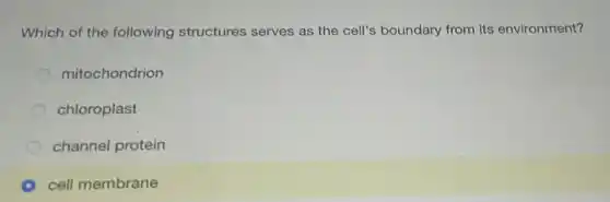 Which of the following structures serves as the cell's boundary from its environment?
mitochondrion
chloroplast
channel protein
cell membrane