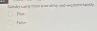 Gatsby came from a wealthy mid-western family.
True
False
