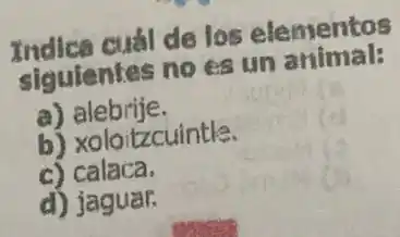 Indica cuál de los elementos
siquientes no es un animal:
a) alebrije.
b) xoloitzcuintle.
c) calaca.
d) jaguar.