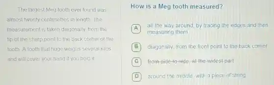 The largest Meg tooth ever found was
almost twenty centimetres in length . The
measurement is taken diagonally, from the
tip of the sharp point to the back corner of the
tooth. A tooth that huge weighs several kilos
and will cover your hand if you hold it
How is a Meg tooth measured?
A
all the way around by tracing the edges and then
measuring them
B diagonally, from the front point to the back corner
C from side to side at the widest part
D around the middle with a piece of string