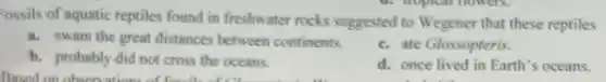 lossils of aquatic reptiles found in freshwater rocks suggested to Wegener that these reptiles
a. swam the great distances between continents.
b. probably did not cross the oceans.
c. ate Glossopteris.
d. once lived in Earth's oceans.