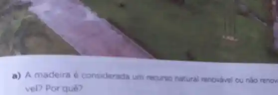 a) A madeira considerada um recurso natural renovavel ou nào renov
vel? Por quê?