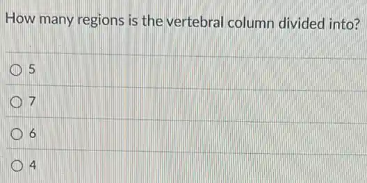 How many regions is the vertebral column divided into?
5
7
D 6
D