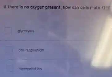 If there is no oxygen present, how can cells make ATP?
glycolysis
cell respiration
fermentation