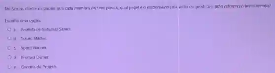 No Scrum, dentre os papéis que cada membro do time possui, qual papel é o responsável pela visão do produto e pelo retorno do investimento?
Escolha uma opção:
a. Analista de Sistemas Senior.
b. Scrum Master.
c. Sprint Planner.
d. Product Owner.
e. Gerente do Projeto