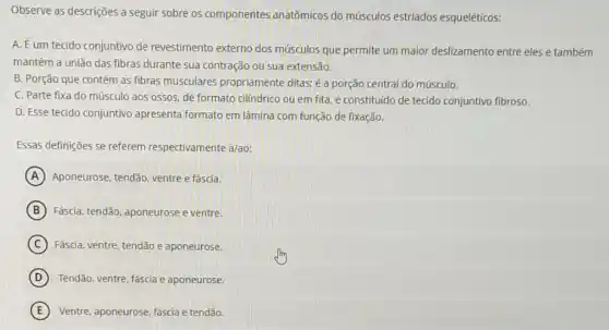 Observe as descrições a seguir sobre os componentes anatômicos do músculos estriados esqueléticos:
A. Eum tecido conjuntivo de revestimento externo dos músculos que permite um maior deslizamento entre eles e também
mantém a união das fibras durante sua contração ou sua extensão.
B. Porção que contém as fibras musculares propriamente ditas; é a porção central do músculo.
C. Parte fixa do músculo aos ossos, de formato cilíndrico ou em fita, é constituido de tecido conjuntivo fibroso.
D. Esse tecido conjuntivo apresenta formato em lãmina com função de fixação.
Essas definições se referem respectivamente a/ao:
A Aponeurose, tendão, ventre e fáscia.
B Fascia, tendão, aponeurose e ventre.
C Fáscia, ventre, tendão e aponeurose.
D Tendão, ventre, fascia e aponeurose.
E Ventre, aponeurose, fáscia e tendão.