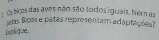 Osbicos das aves não são todos iguais. Nem as
patas. Bicos e patas representa m adaptações?
Explique.