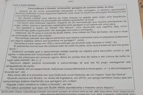 P0901
Lela o texto abaixo.
Camundongo é filmado 'arrumando' garagem de carteiro todos os dias
Apesar de ter como passatempo fotografar a vida selvagem, o carteiro aposentado
Rodney Holbrook nunca capturar uma cena no animação Ratatouille em
sua própria garagem.
Ele decidiu instalar uma câmera de visão noturna no galpão após notar.com frequência,
mudanças misteriosas na arrumação dos objetos guardados no local.
Fol assim que Holbrook de um camundongo que recolhe prendedores de
roups, rolhas, porcas e parafusos espalhados pela garagem e os coloca em uma caixa.
Ele apelidou o roedor de "Welsh Tidy Mouse , uma expressão que significa algo como
"camundongo galês organizado" em tradução livre para o português.
Holbrook, de 76 anos e natural de Builth Wells uma cidade no Pais de Gales, diz que o ritual
de arrumação já dura dois meses.
"No começo, percebi que alguns alimentos que estava colocando para os pássaros acabavam
em alguns sapatos velhos que guardava na garagem , conta.
"Noventa e nove vezes em 100 o camundongo vai arrumar tudo durante a noite", diz.
"E realmente incrivel que ele coloque tudo de volta na caixa, acho que é possivel que ele goste
disso."
Holbrook acredita que o camundongo esteja usando os objetos para esconder nozes e, até
agora, o esquema tem funcionado a seu favor.
"Não me preocupo em arrumar agora, deixo as coisas fora da caixa e ele coloca de volta no
lugar pela manha", diz. ()
Nenhum objeto parece incomodar o camundongo, já que ele foi pego carregando até
abraçadeiras de nylon.
"Na verdade, foi um experimento. Adicionei coisas diferentes à mesa paraler e ele conseguiria
levantá-las", diz.
Mas essa não é a primeira vez que Holbrook ouve histórias de um roedor "que faz faxina".
Quando morava em Bristol, no oeste da Inglaterra, em 2019, um amigo também notou que um
camundongo estava mantendo sua garagem em ordem.
"Aquele vídeo viralizou e rodou o mundo", diz ele.
"Foi dificil acreditar que aqui em Builth Wells aconteceria o mesmo anos depois."
BUCKLAND, Charlie Camundongo é filmado "arrumando' garagem de carteiro todos os dias. BBC News Brasil, 2024. Disponivel em:
https://meulink fit/EotVkkhPsowHpxy Fragmento. (P00073526 SUP)