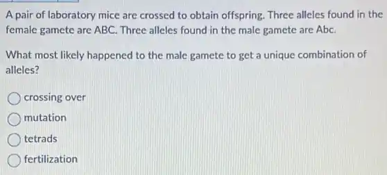 A pair of laboratory mice are crossed to obtain offspring. Three alleles found in the
female gamete are ABC Three alleles found in the male gamete are Abc.
What most likely happened to the male gamete to get a unique combination of
alleles?
crossing over
mutation
tetrads
fertilization