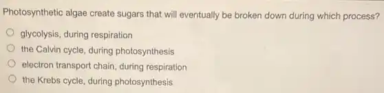 Photosynthetic algae create sugars that will eventually be broken down during which process?
glycolysis, during respiration
the Calvin cycle, during photosynthesis
electron transport chain during respiration
the Krebs cycle, during photosynthesis