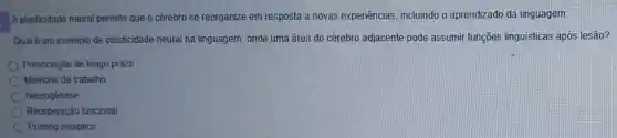 A plasticidade neural permite que o cérebro se reorganize em resposta a novas experiências , incluindo o aprendizado da linguagem.
Qual é um exemplo de plasticidade neural na linguagem, onde uma área do cérebro adjacente pode assumir funções linguísticas após lesão?
Potenciação de longo prazo
Memória de trabalho
Neurogênese
Recuperação funcional
Pruning sináptico