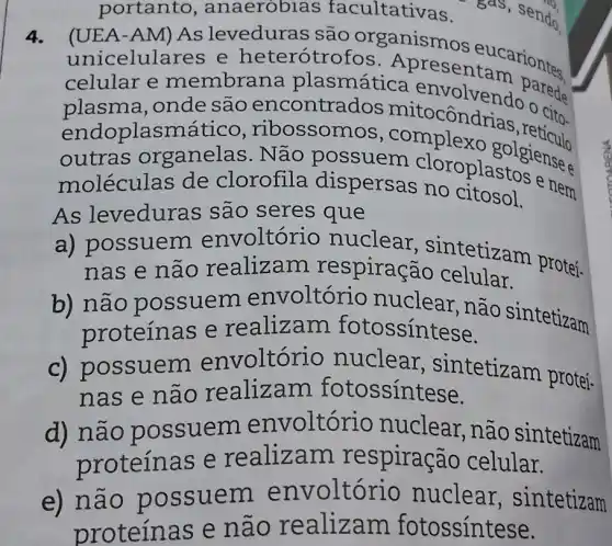 portanto , anaerobias facultativas.
(UEA-AM) As leveduras são organismos eucariontes
unicelulares e heterótro Apresentam
celular e membrar a plasmática parede =
plasma, onde são encontrac los mitocôndrias ()cito.
endoplasmáti co, ribossom
outras organelas . Não possuem clorophansense
moléculas de clorofila dispersas no
As leveduras sao seres que
a) possuem envoltóri o nuclear sintetizam proteí.
nas e não realizam respiração celular.
b) não possuem envoltório nuclear,não sintetizam
proteínas e realizam fotossintese.
ossuem envoltór io nuclear , sintetizam proteí-
nas e nao realizam fotossíntese.
d) não possuem envoltório nuclear, não sintetizam
proteínas e realizam respiração celular.
e) não po ssuem envoltó io nuclear , sintetizam
proteínas e nào realizam fotossíntese.