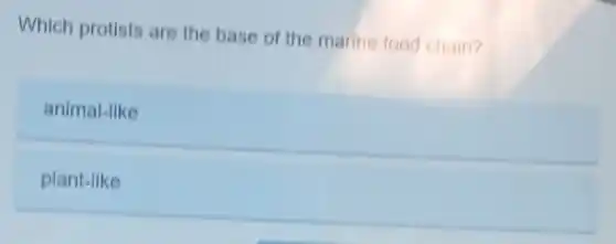 Which protists are the base of the marine food chain?
animal-like
plant-like