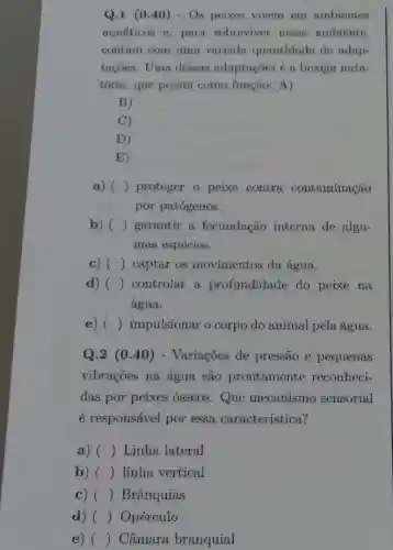 Q.1 (040) - Os peixes vivem em ambientes
aquáticos e, para sobreviver nesse ambiente,
contam com uma variada quantidade de adap-
tações. Uma dessas adaptações é a bexiga nata-
tória, que possui como função: A)
B)
C)
D)
E)
a) () proteger o peixe contra contaminação
por patógenos.
b) () garantir a fecundação interna de algu-
mas espécies.
c) () captar os movimentos da água.
d) () controlar a profundidade do peixe na
água.
e) () impulsionar o corpo do animal pela água.
Q.2 (0 .40) - Variações de pressão e pequenas
vibrações na água são prontamente reconheci-
das por peixes ósseos.Que mecanismo sensorial
é responsável por essa característica?
a) () Linha lateral
b) () linha vertical
c) () Brânquias
d) ( ) Opérculo
e) ( ) Câmara branquial