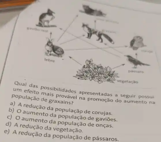 Qual das possibilidades apresentadas a seguir possui
um efeito mais provável na promoção do aumento na
população de graxains?
a) A redução da população de corujas.
b) 0 aumento da população de gaviōes.
c) 0 aumento da população de onças.
d) A redução da vegetação.
e) A redução da população de pássaros.