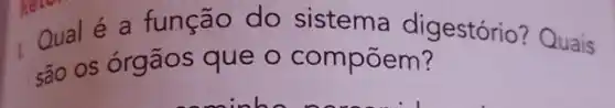 Qualé a função do sistema digestório? Quais
são os órgãos que o compoem?