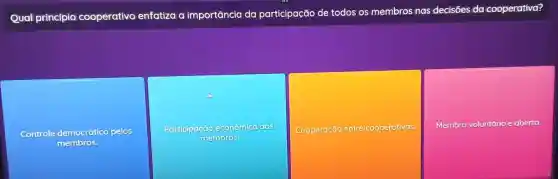 Qual princípio cooperativo enfatiza a importancia da participação de todos os membros nas decisōes da cooperativa?
Controle democrático pelos
membros.
Participação economica dos
membros
Cooperação entre cooperativas.
Membro voluntário e aberto.