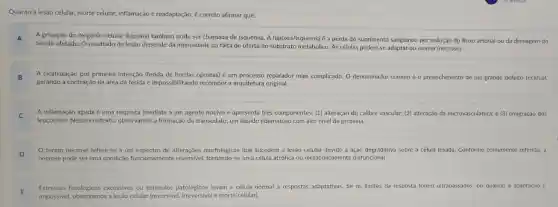 Quanto à lesão celular.morte celular, inflamação e readaptação, é correto afirmar que:
A
A privação do oxigênio celular (hipóxia) também pode ser chamada de isquemia A hipóxia/isquemia é a perda do suprimento sanguíneo por redução do fluxo arterial ou da drenagem do
tecido afetado. O resultado da lesão depende da intensidade da falta de oferta do substrato metabólico As células podem se adaptar ou morrer (necrose)
A cicatrização por primeira intenção (ferida de bordas opostas) é um processo reparador mais complicado. 0 denominador comum é o preenchimento de um grande defeito tecidual,
gerando a contração da área da ferida e impossibilitando recompor a arquitetura original.
A inflamação aguda é uma resposta imediata a um agente nocivo e apresenta três componentes: (1)alteração do calibre vascular;(2) alteração da microvasculatura e (3) emigração dos
leucócitos. Nesse contexto.observamos a formação do transudato, um liquido edematoso com alto nivel de proteína.
termo necrose refere-se a um espectro de alterações morfológicas que sucedem a lesão celular devido à ação degradativa sobre a célula lesada Conforme comumente referida,
necrose pode ser uma condição funcionalmente reversivel, tornando-se uma célula atrófica ou metabolicamente disfuncional.
Estresses fisiológicos exce excessivos ou estimulos patológicos levam a célula normal a respostas adaptativas. Se os limites da resposta forem ultrapassados, ou quando a adaptação é
impossivel, observamos a lesão celular (reversivel versivel e morte celular).