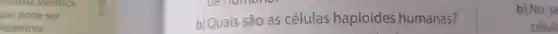 que pode ser
liabéticos.
b) Quais são as células haploides humanas?
b) No se
célul