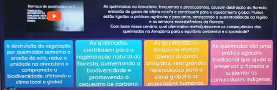 As queimadas na Am Amazônia, frequentes e preocupantes	destruição da floresta
de gases de efeito	e contribuem	Muitas
estão ligadas a práticas agricolas e ameaçando a sustentabilidade da região
e os servicos ecossistêmicos da floresta.
nesse cendrio, qual alternativa me
queimadas das na Amazônia para o equillbrio ambiental e a
A destruição da vegetação
por queimadas aumenta a
erosão do solo, reduz
umidade na atmosfera e
compromete a
biodiversidade, afetando
clima local e global.
As quelmadas
contribuem para a
regeneração natural da
floresta, aumentando a
biodiversidade e
promovendo o
sequestro de carbono
As quelmadas na
Amazônia afetam
apenas as areas
atingidas,sem grandes
repercussões para o
clima global e as
populaçōes humanas.
As queimadas são uma
prática agrícola
tradicional que ajuda a
preservar a floresta e
sustentar as
comunidades indigenas