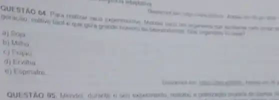 QUESTAO 04. Para realizat
cultivo facil eque gera grande numero de deviantiontar
a) Soja
b) Milho
c) Feijǎo
d) Ervilha
e) Espinafre
QUESTAO 05. Mendel durante o seu experiments do plantin of