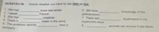 QUESTAO 08-Decide whether you have to use little or few.
1. We had __ snow last winter
2. I speak __ French
3. She has __ relatives.
4. There is __ water in the pond
5. The professor spends __ time in
company
6. We have __ knowledge of this
phenomenon
7. There are __ mushrooms in my
mushroom soup
B. __ animals can survive in the deser