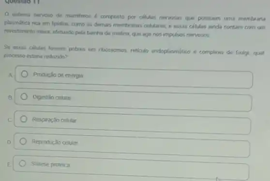 Questao 11
sistema nervoso de mamiferos é composto por células nervosas que possuem uma membrana
plasmática rica em lipidios como as demais membranas celulares, e essas células ainda contam com um
revestimento maior, efetuado pela bainha de mielina, que age nos impulsos nervosos.
Se essas células fossem pobres em nbossomos, reticulo endoplasmático e complexo de Golgi, qual
processo estaria reduzido?
Produção de energia
Digestão celular
Respiração celular
Reprodução celular
Sintese proteica