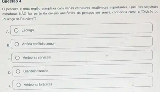 Questao 4
pescoço é uma região complexa com várias estruturas analómicas importantes. Qual das seguintes
estruturas NÃO faz parte da divisão anatômica do pescoço em zonas, conhecida como a "Divisão do
Pescoço de Rouviere"?
Esôlago
Artéria carótida comum
Vértebras cervicais
Glândula tirooide
Vértebras torácicas