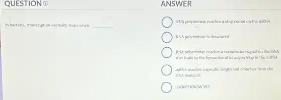 QUESTION 0
In bacteria, transcription normally stops when __
ANSWER
RNA polymerase reaches a stop codon on the mRNA
RNA polymerase is denatured
RNA polymerase reaches a termination signal on the DNA
that leads to the formation of a hairpin loap in the mRNA
mRNA reaches a specific length and detaches from the
DNA molecule
IDON'T KNOWYET