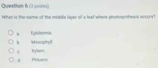 Question 6 (2 points)
What is the name of the middle layer of a leaf where photosynthesis occurs?
Epidermis
b Mesophyll
xylem
d Phloem