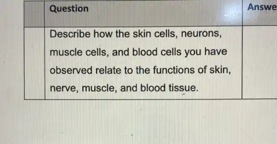 Question	Answe
Describe how the skin cells , neurons,
muscle cells , and blood cells you have
square 
observed relate to the functions of skin,
nerve, muscle , and blood tissue.