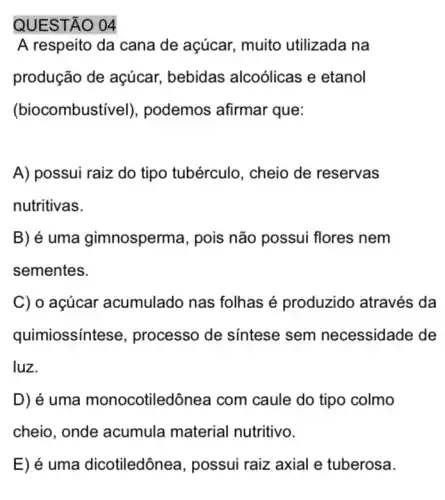 QUESTÃO 04
A respeito da cana de açúcar, muito utilizada na
produção de açúcar,bebidas alcoólicas e etanol
(biocombustivel ), podemos afirmar que:
A) possui raiz do tipo tubérculo, cheio de reservas
nutritivas.
B) é uma gimnosperma, pois não possui flores nem
sementes.
C) o açúcar acumulado nas folhas é produzido através da
quimiossintese , processo de síntese sem necessidade de
luz.
D) é uma monocotilec iônea com caule do tipo colmo
cheio, onde acumula material nutritivo.
E) é uma dicotiledône a, possui raiz axial e tuberosa.