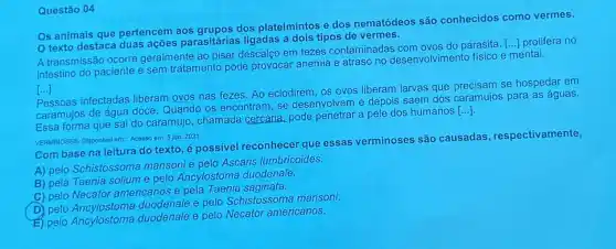 Questão 04
Os animais que pertencem aos grupos dos platelmintos e dos nematódeos são conhecidos como vermes.
texto destaca duas acões parasitárias ligadas a dois tipos de vermes.
A transmissão ocorre geralmente ao pisar descalç em fezes contaminadas do parasita.
() prolifera no
intestino do paciente e sem tratamento pode provocar anemia e atraso no desenvolvimento físico e mental.
()
Pessoas infectadas liberam ovos nas fezes. Ao eclodirem, os ovos liberam larvas que precisam se hospedar em
caramujos de água doce Quando os encontram, se desenvolvem e depois saem dos caramujos para as águas.
Essa forma que sai do caramujo, chamada cercária, pode penetrar a pele dos humanos
[ldots ]
VERMINOSES. Disponivel em: -ACRSSO em: 5 jun. 2021.
Com base na leitura do texto, é possivel reconhecer que essas verminoses são causadas , respectivamente,
A) pelo Schistossoma mansoni e pelo Ascaris lumbricoides.
B) pela Taenia solium e pelo Ancylostoma duodenale.
C) pelo Necator americanos e pela Taenia saginata.
D) pelo Ancylostoma duodenale e pelo Schistossoma mansoni.
E) pelo Ancylostoma duodenale e pelo Necator americanos.