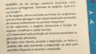 Questo 10: Ne laringe, podetnos escontrer unts sus funcio?
a) Ne epidote, sbo encomerdos as ithotas be larighectare que secretam bucagon e sbo responslaneis pela probucio de ifisulins diretatments ne cortente sareuirise. aquecer, umidificar & captar acontes. absorfas dos alimentos.
2. Como ume valinula, Durame a deglurbo, se fiedse e,