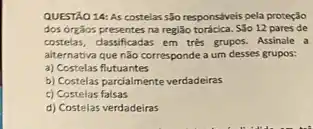 QUESTÃO 14: As costelas são responsáveis pela proteção
dos orgios presentes na região torácica. S3o 12 pares de
costelas, classificadas em tres grupos. Assinale a
alternativa que não corresponde a um desses grupos:
a) Costelas flutuantes
b) Costelas parcialmente verdadeiras
c) Costelas falsas
d) Costelas verdadeiras