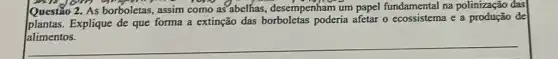 Questão 2. As borboletas assim como as abelhas desempenham u m papel fundamental na polinização das
plantas. Explique de que forma a extinção das poderia afetar o ecossistema e a de
__