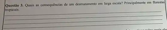 Questão 3. Quais as consequências de um desmatamento em larga escala? Principalmente em florestas
__