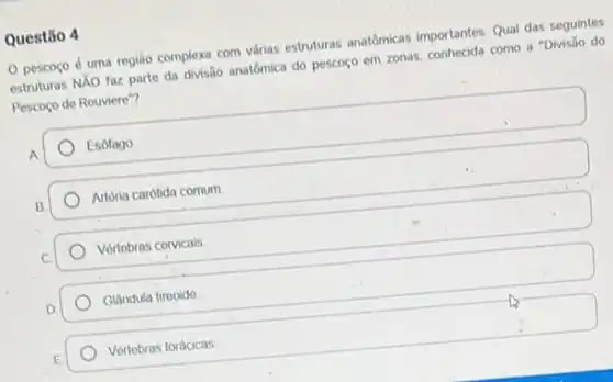 Questǎo 4
pescoço é uma região complexa com várias estruturas anatómicas importantes Qual das seguintes
estruturas NXO faz parte da divisão anatômica do pescogo em zonas, conhecida como a "Divisão do
Pescoço de Rouviere"?
Esolago
Artória carotida comum
Vórtobras corvicais
Glandula tirooido
Vórtebras torácicas