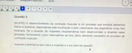 Questǎo 5
(ACAFE) 0 desenvolvimento da contração muscular e um processo que envolve elementos
fisicos e quimicos, responsivel pela locomoçdo e pelo crescimento dos organismos vivos. Nos
musculos, he a atuacác de organeles citoplasms hicas bern desenvolvidas e atuates nesse
processo, funcionando come reservationos de lons calcio elemento necessario ao processo de
contracto muscular.
Astinale a alternativa que hdica a organela e a sua ação em questio