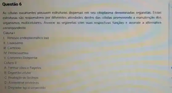 Questão 6
As células eucariontes possuem estruturas dispersas em seu citoplasma denominadas organelas. Essas
estruturas são responsáveis por diferentes atividades dentro das células promovendo a manutenção dos
organismos multicelulares. Associe as organelas com suas respectivas funçōes e assinale a alternativa
correspondente.
Coluna I
I. Reticulo endoplasmático liso
II. Lisossomo
III. Centríolo
IV. Peroxissomos
V. Complexo Golgiense
Coluna II
A. Formar cilios e flagelos
B. Digestão celular
C. Produção de lipideos
D. Armazenar proteinas
E. Degradar água oxigenada