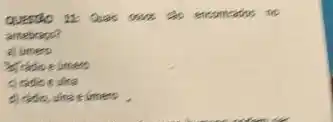 QUESTRO 11: Quas ercomeados to
antebraso?
a) (imero
life
e una
d) radio, ulne e imero