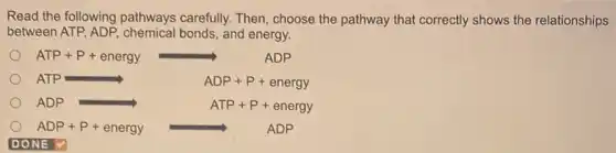 Read the following pathways carefully. Then, choose the pathway that correctly shows the relationships
between ATP, ADP bonds, and energy.
ATP+P+energy Longrightarrow ADP
ADP Longrightarrow ATP+P+energy
ADP+P+energy arrow ADP
DONE V