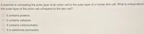 A scientist is comparing the outer layer of an onion cell to the outer layer of a human skin cell.What is unique about
the outer layer of the onion cell cdmpared to the skin cell?
It contains proteins.
It contains cellulose.
It contains carbohydrates
It is selectively permeable.