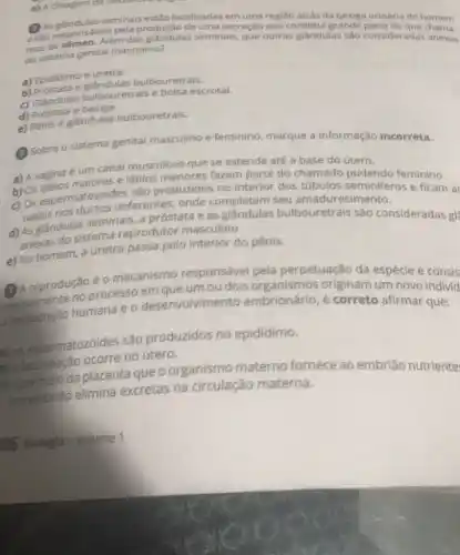 As seminais em uma região atrás da bexiga urinária do homem
pela produção de uma secreção que constitul
esao responsivaliem seminais, que outras glândulas são consideradas anexas
do sistema genital masculino?
anexas
a) Epididimo euretra
bulbouretrais.
c) Glândulas bulbouretrais e bolsa escrotal.
d) Próstata e bexiga.
e) Pênis e glândulas bulbouretrais.
e) A clivagem da cellulations
(1) Sobre o sistema genital masculino e feminino marque a informação incorreta.
a) A vagina é um canal musculoso que se estende até a base do útero.
e lábios menores fazem parte do chamado pudendo feminino.
b) Os lábios malorei les são produzidos no interior dos túbulos seminiferos e ficam ar
c) 0s deferentes, onde completam seu amadurecimento.
d) As glândulas seminais a próstata e as bulbouretrais são consideradas gl?
anexas do sistema reprodutor masculino.
e) No homem, a uretra passa pelo interior do pênis.
reproduction processo um ou dois organismos originam um novo individ
é o mecanismo responsável pela perpetuação da espécie e consis
mentalmente humana e o desenvolvim ento embrionário, é correto afirmar que:
al as espermatozoides são produzidos no epidídimo.
indação ocorre no litero.
meio da placenta que o organismo materno fornece ao embrião nutriente
eo embrião elimina excretas na circulação materna.