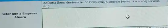 Setor que a Empresa
Atuará
Indústria (bens duráveis ou de Consumo), Comércio (varejo x atacado, serviços,
square