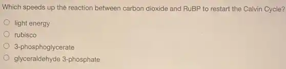 Which speeds up the reaction between carbon dioxide and RuBP to restart the Calvin Cycle?
light energy
rubisco
3-phosphoglycerate
glyceraldehyde 3 -phosphate